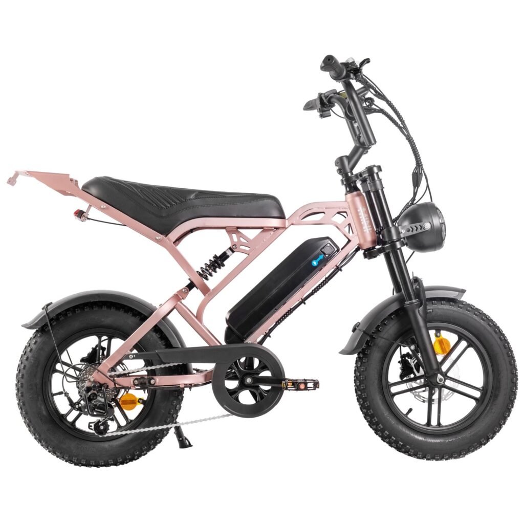 V20 Pro mini Fatbike nu Inclusief Gratis Voetsteuntjes, Tas En Pomp