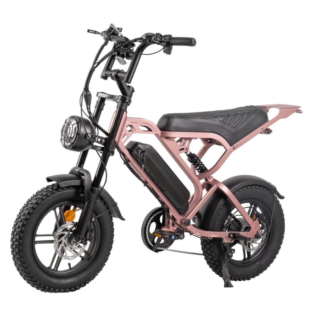 V20 Pro mini Fatbike nu Inclusief Gratis Voetsteuntjes, Tas En Pomp