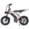 V20 Pro mini Fatbike nu Inclusief Gratis Voetsteuntjes, Tas En Pomp