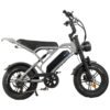 V20 Pro mini Fatbike nu Inclusief Gratis Voetsteuntjes, Tas En Pomp