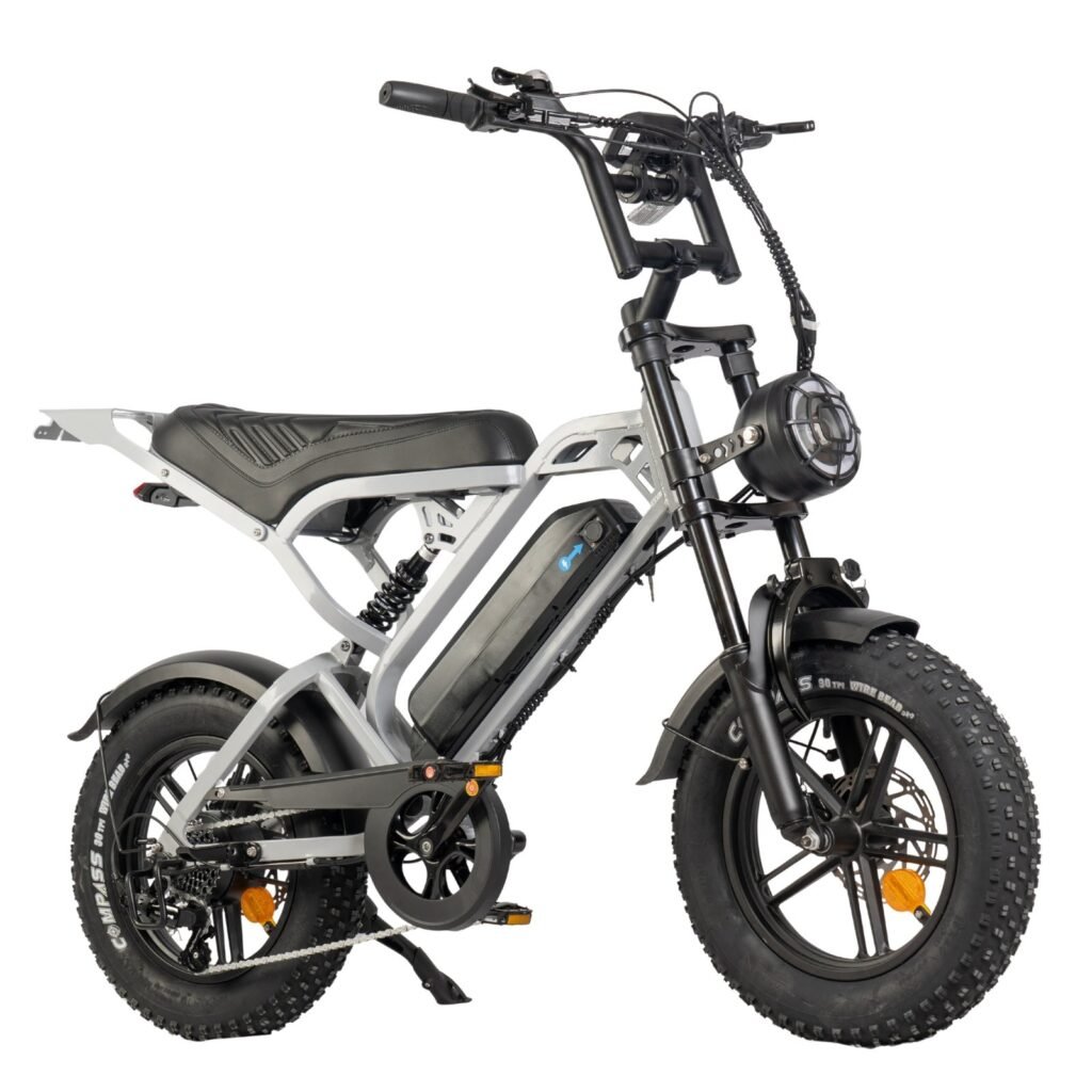 V20 Pro mini Fatbike nu Inclusief Gratis Voetsteuntjes, Tas En Pomp