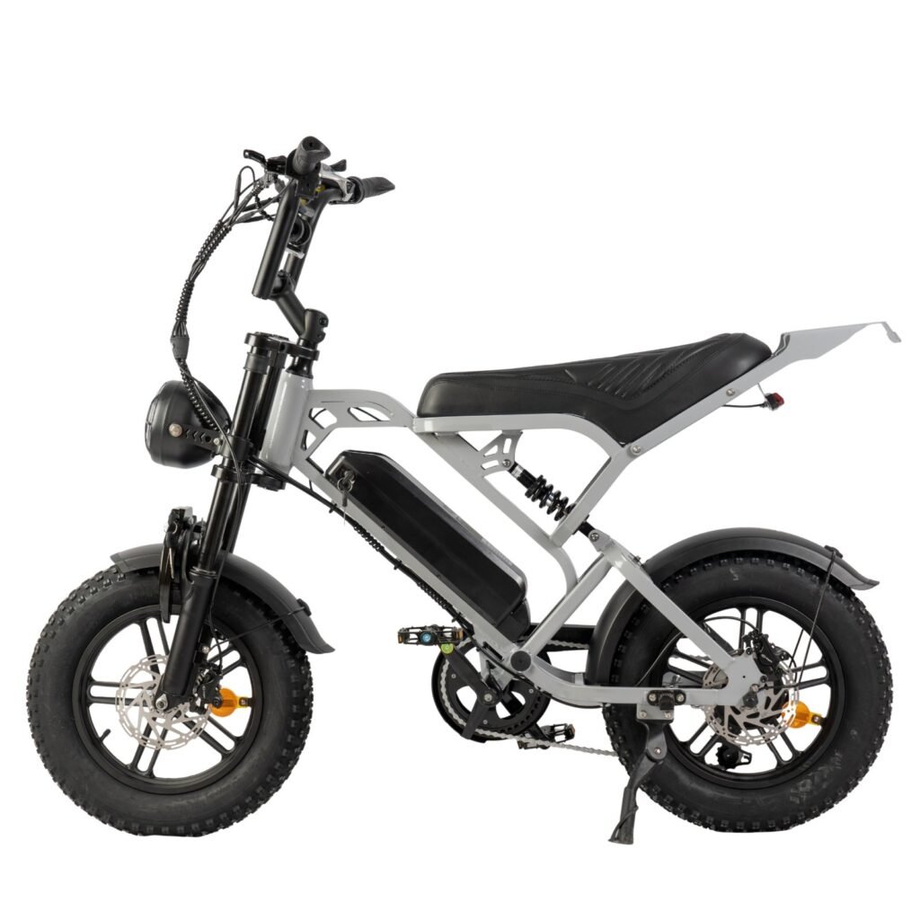 V20 Pro mini Fatbike nu Inclusief Gratis Voetsteuntjes, Tas En Pomp