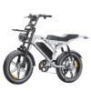 S20 Pro 2026 Fatbike – Premium Editie met NFC, Slim Wielslot & Krachtige Motor