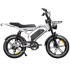 S20 Pro 2026 Fatbike – Premium Editie met NFC, Slim Wielslot & Krachtige Motor